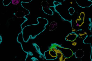 Soyut ışık. Bokeh arkaplan, vektör çizimi. Mistik mor. Büyülü renkler. Neşe.