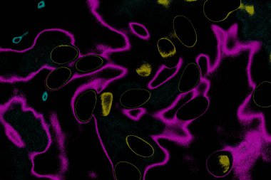 Soyut ışık. Bokeh arkaplan, vektör çizimi. Mistik mor. Büyülü renkler. Neşe.