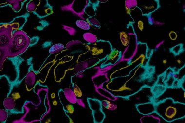 Soyut ışık. Bokeh arkaplan, vektör çizimi. Mistik mor. Büyülü renkler. Neşe.