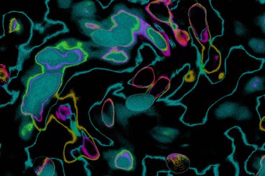 Soyut ışık. Bokeh arkaplan, vektör çizimi. Mistik mor. Büyülü renkler. Neşe.