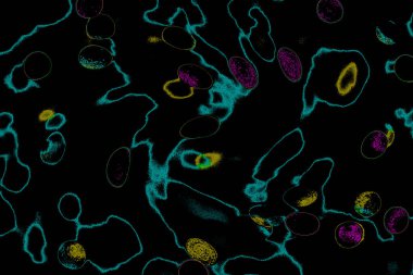 Soyut ışık. Bokeh arkaplan, vektör çizimi. Mistik mor. Büyülü renkler. Neşe.