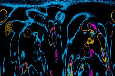 Soyut ışık. Bokeh arkaplan, vektör çizimi. Mistik mor. Büyülü renkler. Neşe.