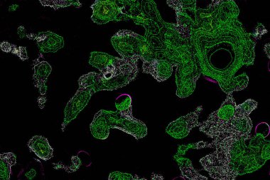 Neon parıltısı arka planı. Akan doku. Odaklanamayan kıvılcımlar. Bokeh parıltısı. Floresan moru. Mavi. Magenta. Pembe. Gradyan ışık. Parlak röfleler. Desen.