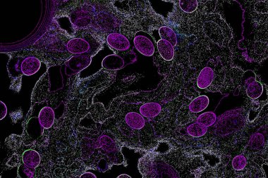 Neon parıltısı arka planı. Akan doku. Odaklanamayan kıvılcımlar. Bokeh parıltısı. Floresan moru. Mavi. Magenta. Pembe. Gradyan ışık. Parlak röfleler. Desen.