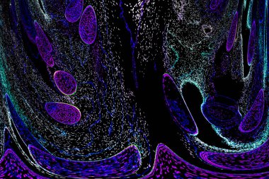 Neon parıltısı arka planı. Akan doku. Odaklanamayan kıvılcımlar. Bokeh parıltısı. Floresan moru. Mavi. Magenta. Pembe. Gradyan ışık. Parlak röfleler. Desen.