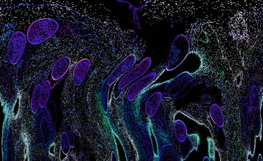 Neon parıltısı arka planı. Akan doku. Odaklanamayan kıvılcımlar. Bokeh parıltısı. Floresan moru. Mavi. Magenta. Pembe. Gradyan ışık. Parlak röfleler. Desen.