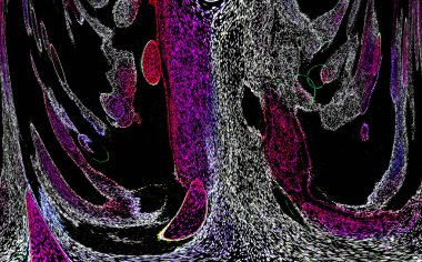 Neon parıltısı arka planı. Akan doku. Odaklanamayan kıvılcımlar. Bokeh parıltısı. Floresan moru. Mavi. Magenta. Pembe. Gradyan ışık. Parlak röfleler. Desen.