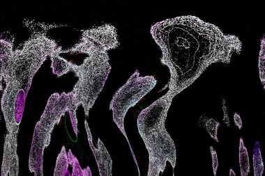 Neon parıltısı arka planı. Akan doku. Odaklanamayan kıvılcımlar. Bokeh parıltısı. Floresan moru. Mavi. Magenta. Pembe. Gradyan ışık. Parlak röfleler. Desen.