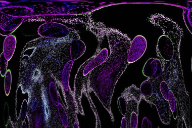 Neon parıltısı arka planı. Akan doku. Odaklanamayan kıvılcımlar. Bokeh parıltısı. Floresan moru. Mavi. Magenta. Pembe. Gradyan ışık. Parlak röfleler. Desen.