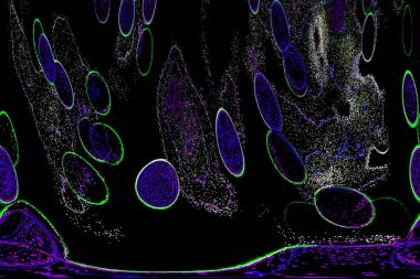 Neon parıltısı arka planı. Akan doku. Odaklanamayan kıvılcımlar. Bokeh parıltısı. Floresan moru. Mavi. Magenta. Pembe. Gradyan ışık. Parlak röfleler. Desen.