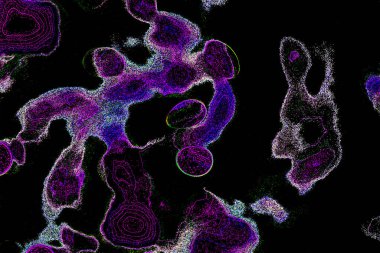 Neon parıltısı arka planı. Akan doku. Odaklanamayan kıvılcımlar. Bokeh parıltısı. Floresan moru. Mavi. Magenta. Pembe. Gradyan ışık. Parlak röfleler. Desen.