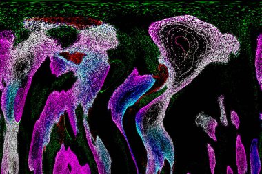 Neon parıltısı arka planı. Akan doku. Odaklanamayan kıvılcımlar. Bokeh parıltısı. Floresan moru. Mavi. Magenta. Pembe. Gradyan ışık. Parlak röfleler. Desen.