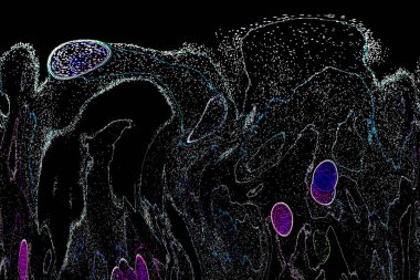 Neon parıltısı arka planı. Akan doku. Odaklanamayan kıvılcımlar. Bokeh parıltısı. Floresan moru. Mavi. Magenta. Pembe. Gradyan ışık. Parlak röfleler. Desen.