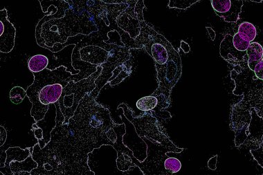 Neon parıltısı arka planı. Akan doku. Odaklanamayan kıvılcımlar. Bokeh parıltısı. Floresan moru. Mavi. Magenta. Pembe. Gradyan ışık. Parlak röfleler. Desen.