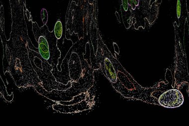 Neon parıltısı arka planı. Akan doku. Odaklanamayan kıvılcımlar. Bokeh parıltısı. Floresan moru. Mavi. Magenta. Pembe. Gradyan ışık. Parlak röfleler. Desen.