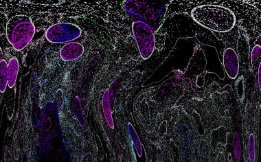 Neon parıltısı arka planı. Akan doku. Odaklanamayan kıvılcımlar. Bokeh parıltısı. Floresan moru. Mavi. Magenta. Pembe. Gradyan ışık. Parlak röfleler. Desen.