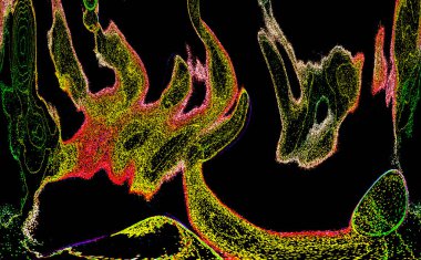 Neon parıltısı arka planı. Akan doku. Odaklanamayan kıvılcımlar. Bokeh parıltısı. Floresan moru. Mavi. Magenta. Pembe. Gradyan ışık. Parlak röfleler. Desen.