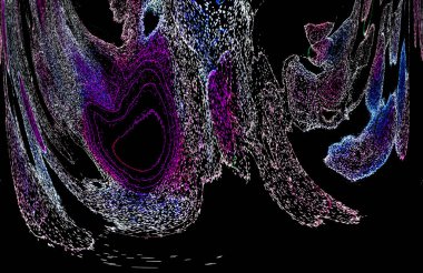 Neon parıltısı arka planı. Akan doku. Odaklanamayan kıvılcımlar. Bokeh parıltısı. Floresan moru. Mavi. Magenta. Pembe. Gradyan ışık. Parlak röfleler. Desen.