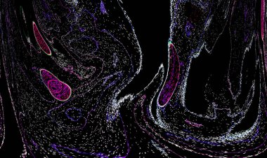 Neon parıltısı arka planı. Akan doku. Odaklanamayan kıvılcımlar. Bokeh parıltısı. Floresan moru. Mavi. Magenta. Pembe. Gradyan ışık. Parlak röfleler. Desen.