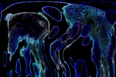 Neon parıltısı arka planı. Akan doku. Odaklanamayan kıvılcımlar. Bokeh parıltısı. Floresan moru. Mavi. Magenta. Pembe. Gradyan ışık. Parlak röfleler. Desen.