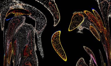 Neon parıltısı arka planı. Akan doku. Odaklanamayan kıvılcımlar. Bokeh parıltısı. Floresan moru. Mavi. Magenta. Pembe. Gradyan ışık. Parlak röfleler. Desen.