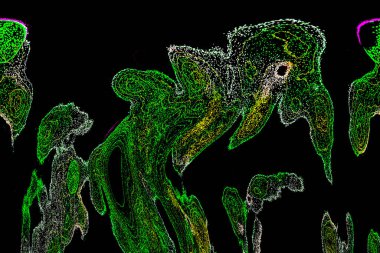 Neon parıltısı arka planı. Akan doku. Odaklanamayan kıvılcımlar. Bokeh parıltısı. Floresan moru. Mavi. Magenta. Pembe. Gradyan ışık. Parlak röfleler. Desen.