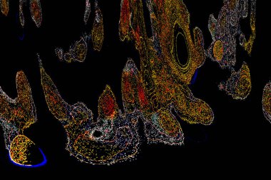 Neon parıltısı arka planı. Akan doku. Odaklanamayan kıvılcımlar. Bokeh parıltısı. Floresan moru. Mavi. Magenta. Pembe. Gradyan ışık. Parlak röfleler. Desen.