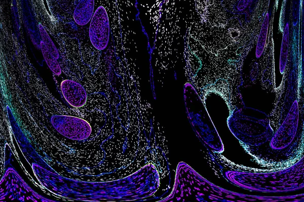 Neon parıltısı arka planı. Akan doku. Odaklanamayan kıvılcımlar. Bokeh parıltısı. Floresan moru. Mavi. Magenta. Pembe. Gradyan ışık. Parlak röfleler. Desen.