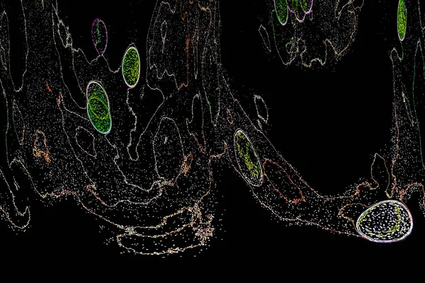 Neon parıltısı arka planı. Akan doku. Odaklanamayan kıvılcımlar. Bokeh parıltısı. Floresan moru. Mavi. Magenta. Pembe. Gradyan ışık. Parlak röfleler. Desen.