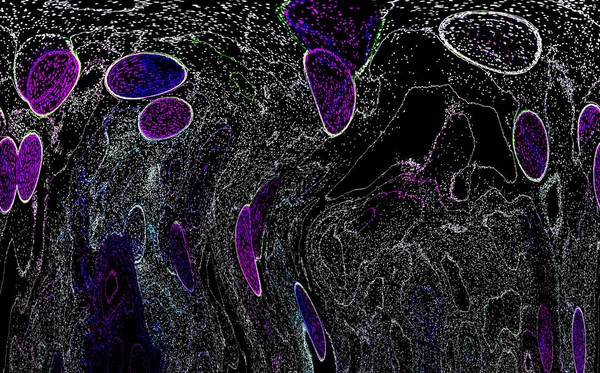 Neon parıltısı arka planı. Akan doku. Odaklanamayan kıvılcımlar. Bokeh parıltısı. Floresan moru. Mavi. Magenta. Pembe. Gradyan ışık. Parlak röfleler. Desen.