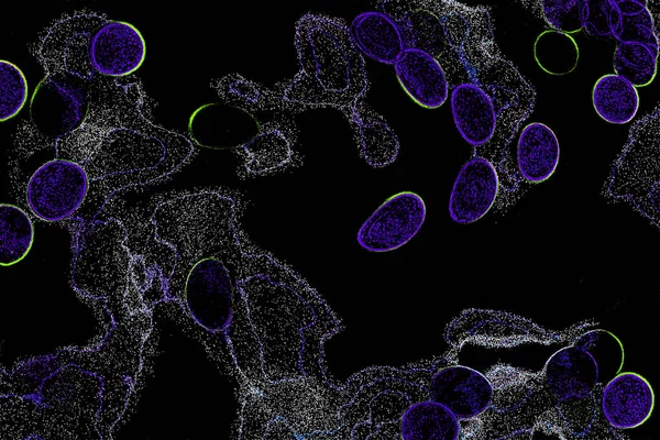 Neon parıltısı arka planı. Akan doku. Odaklanamayan kıvılcımlar. Bokeh parıltısı. Floresan moru. Mavi. Magenta. Pembe. Gradyan ışık. Parlak röfleler. Desen.