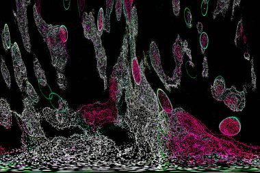 Neon parıltısı arka planı. Akan doku. Odaklanamayan kıvılcımlar. Bokeh parıltısı. Floresan moru. Mavi. Magenta. Pembe. Gradyan ışık. Parlak röfleler. Desen.