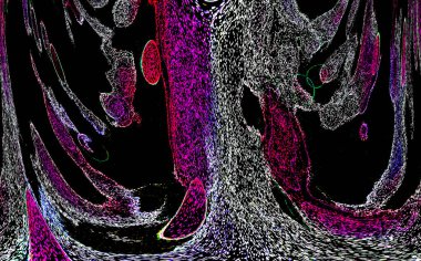 Neon parıltısı arka planı. Akan doku. Odaklanamayan kıvılcımlar. Bokeh parıltısı. Floresan moru. Mavi. Magenta. Pembe. Gradyan ışık. Parlak röfleler. Desen.