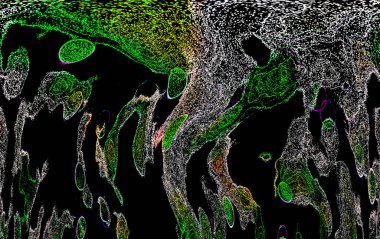 Neon parıltısı arka planı. Akan doku. Odaklanamayan kıvılcımlar. Bokeh parıltısı. Floresan moru. Mavi. Magenta. Pembe. Gradyan ışık. Parlak röfleler. Desen.