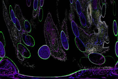 Neon parıltısı arka planı. Akan doku. Odaklanamayan kıvılcımlar. Bokeh parıltısı. Floresan moru. Mavi. Magenta. Pembe. Gradyan ışık. Parlak röfleler. Desen.