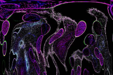 Neon parıltısı arka planı. Akan doku. Odaklanamayan kıvılcımlar. Bokeh parıltısı. Floresan moru. Mavi. Magenta. Pembe. Gradyan ışık. Parlak röfleler. Desen.