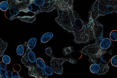 Neon parıltısı arka planı. Akan doku. Odaklanamayan kıvılcımlar. Bokeh parıltısı. Floresan moru. Mavi. Magenta. Pembe. Gradyan ışık. Parlak röfleler. Desen.