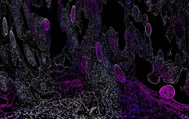 Neon parıltısı arka planı. Akan doku. Odaklanamayan kıvılcımlar. Bokeh parıltısı. Floresan moru. Mavi. Magenta. Pembe. Gradyan ışık. Parlak röfleler. Desen.