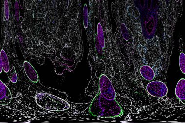 Neon parıltısı arka planı. Akan doku. Odaklanamayan kıvılcımlar. Bokeh parıltısı. Floresan moru. Mavi. Magenta. Pembe. Gradyan ışık. Parlak röfleler. Desen.