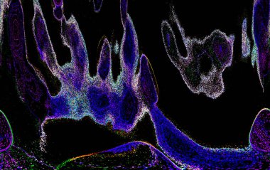 Neon parıltısı arka planı. Akan doku. Odaklanamayan kıvılcımlar. Bokeh parıltısı. Floresan moru. Mavi. Magenta. Pembe. Gradyan ışık. Parlak röfleler. Desen.