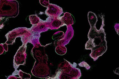 Neon parıltısı arka planı. Akan doku. Odaklanamayan kıvılcımlar. Bokeh parıltısı. Floresan moru. Mavi. Magenta. Pembe. Gradyan ışık. Parlak röfleler. Desen.