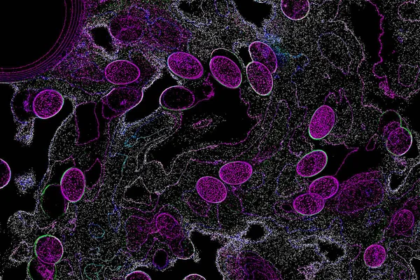 Neon parıltısı arka planı. Akan doku. Odaklanamayan kıvılcımlar. Bokeh parıltısı. Floresan moru. Mavi. Magenta. Pembe. Gradyan ışık. Parlak röfleler. Desen.