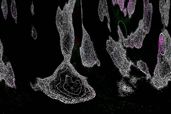 Neon parıltısı arka planı. Akan doku. Odaklanamayan kıvılcımlar. Bokeh parıltısı. Floresan moru. Mavi. Magenta. Pembe. Gradyan ışık. Parlak röfleler. Desen.