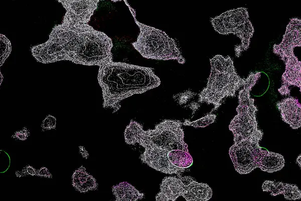 Neon parıltısı arka planı. Akan doku. Odaklanamayan kıvılcımlar. Bokeh parıltısı. Floresan moru. Mavi. Magenta. Pembe. Gradyan ışık. Parlak röfleler. Desen.