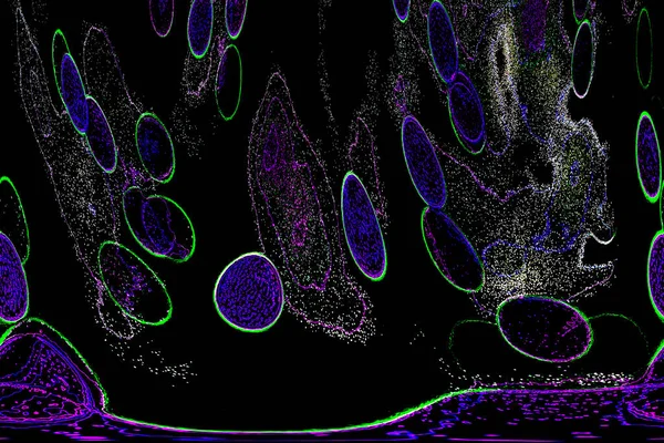 Neon parıltısı arka planı. Akan doku. Odaklanamayan kıvılcımlar. Bokeh parıltısı. Floresan moru. Mavi. Magenta. Pembe. Gradyan ışık. Parlak röfleler. Desen.