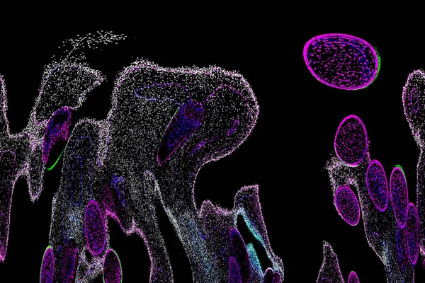 Neon parıltısı arka planı. Akan doku. Odaklanamayan kıvılcımlar. Bokeh parıltısı. Floresan moru. Mavi. Magenta. Pembe. Gradyan ışık. Parlak röfleler. Desen.