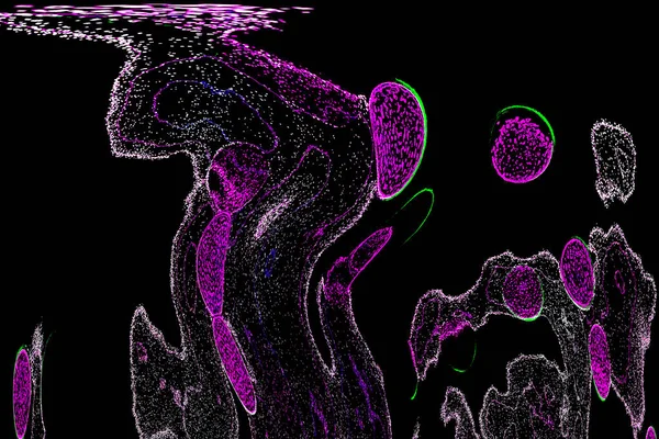 Neon parıltısı arka planı. Akan doku. Odaklanamayan kıvılcımlar. Bokeh parıltısı. Floresan moru. Mavi. Magenta. Pembe. Gradyan ışık. Parlak röfleler. Desen.