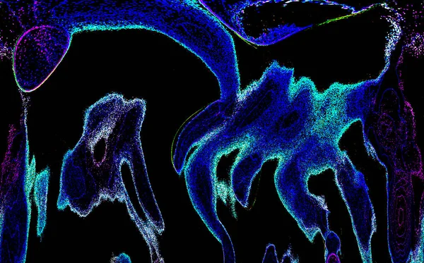 Neon parıltısı arka planı. Akan doku. Odaklanamayan kıvılcımlar. Bokeh parıltısı. Floresan moru. Mavi. Magenta. Pembe. Gradyan ışık. Parlak röfleler. Desen.