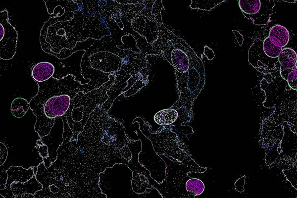 Neon parıltısı arka planı. Akan doku. Odaklanamayan kıvılcımlar. Bokeh parıltısı. Floresan moru. Mavi. Magenta. Pembe. Gradyan ışık. Parlak röfleler. Desen.