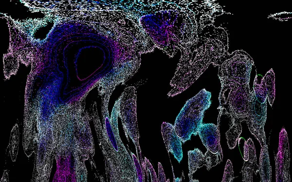 Neon parıltısı arka planı. Akan doku. Odaklanamayan kıvılcımlar. Bokeh parıltısı. Floresan moru. Mavi. Magenta. Pembe. Gradyan ışık. Parlak röfleler. Desen.